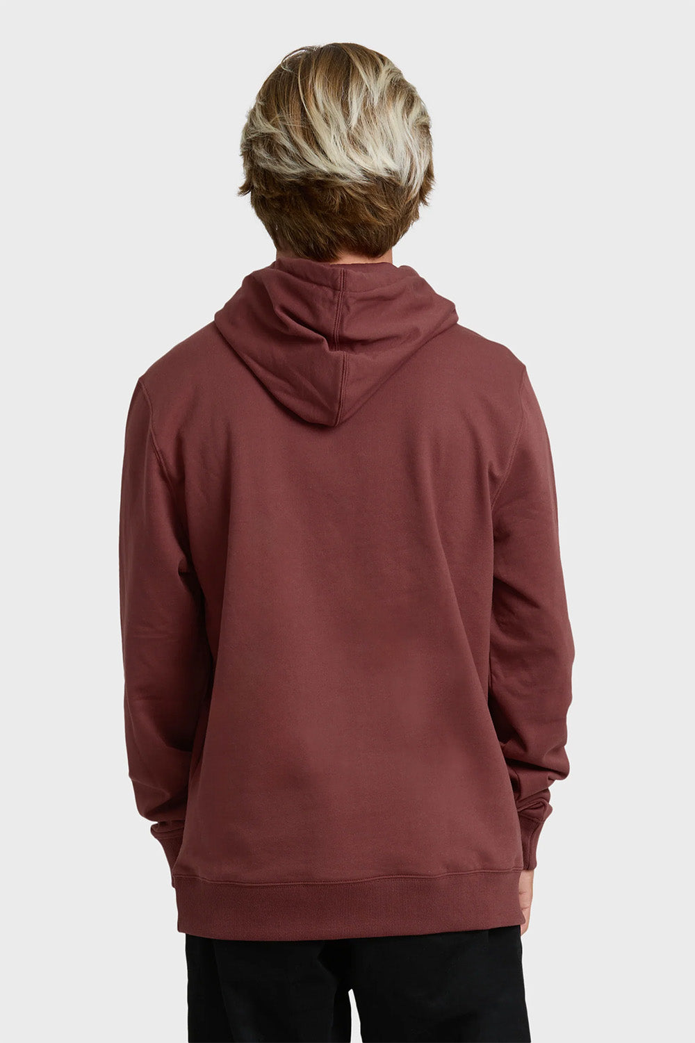 billabong all day po hoodie plum back