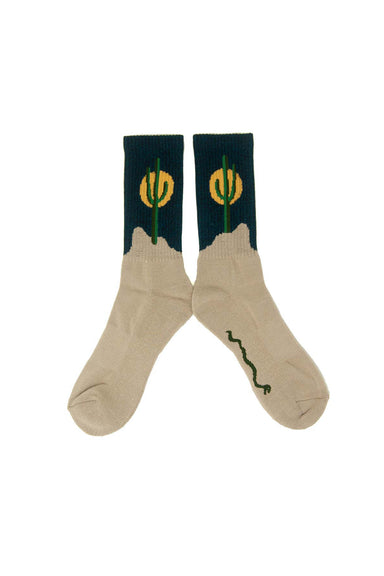 Ampal Creative - Sunset Cactus Socks