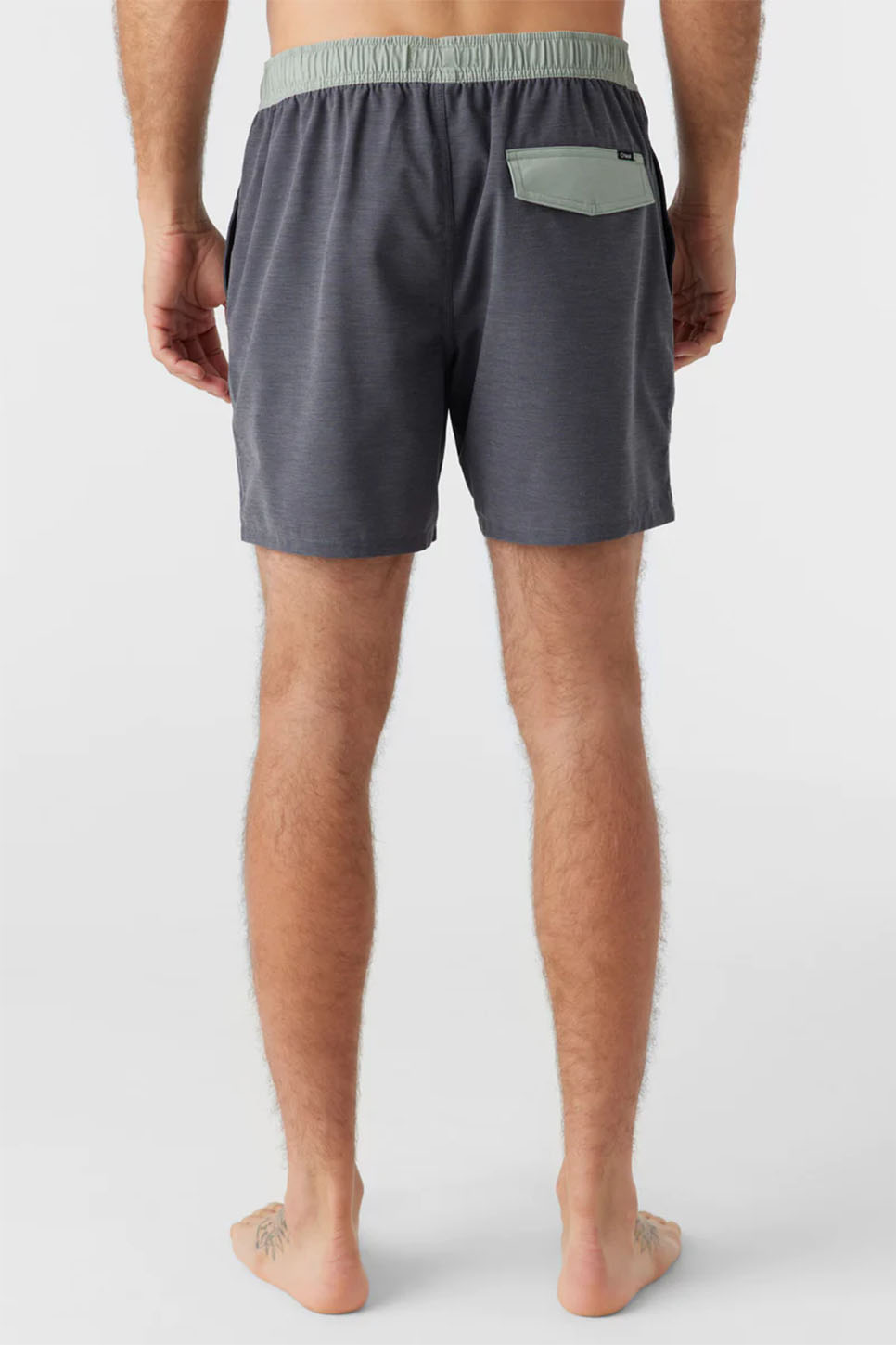 O'Neill - OG Solid Volley - Graphite - Back