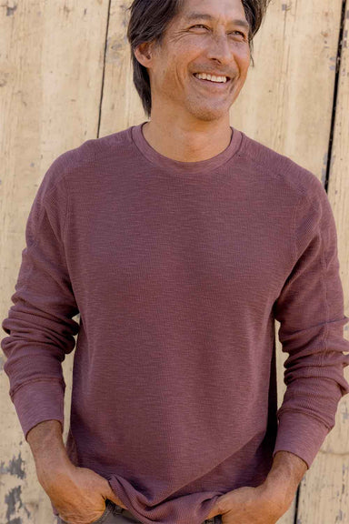 Grayers - Clint Waffle Crew - Root Beer - Model