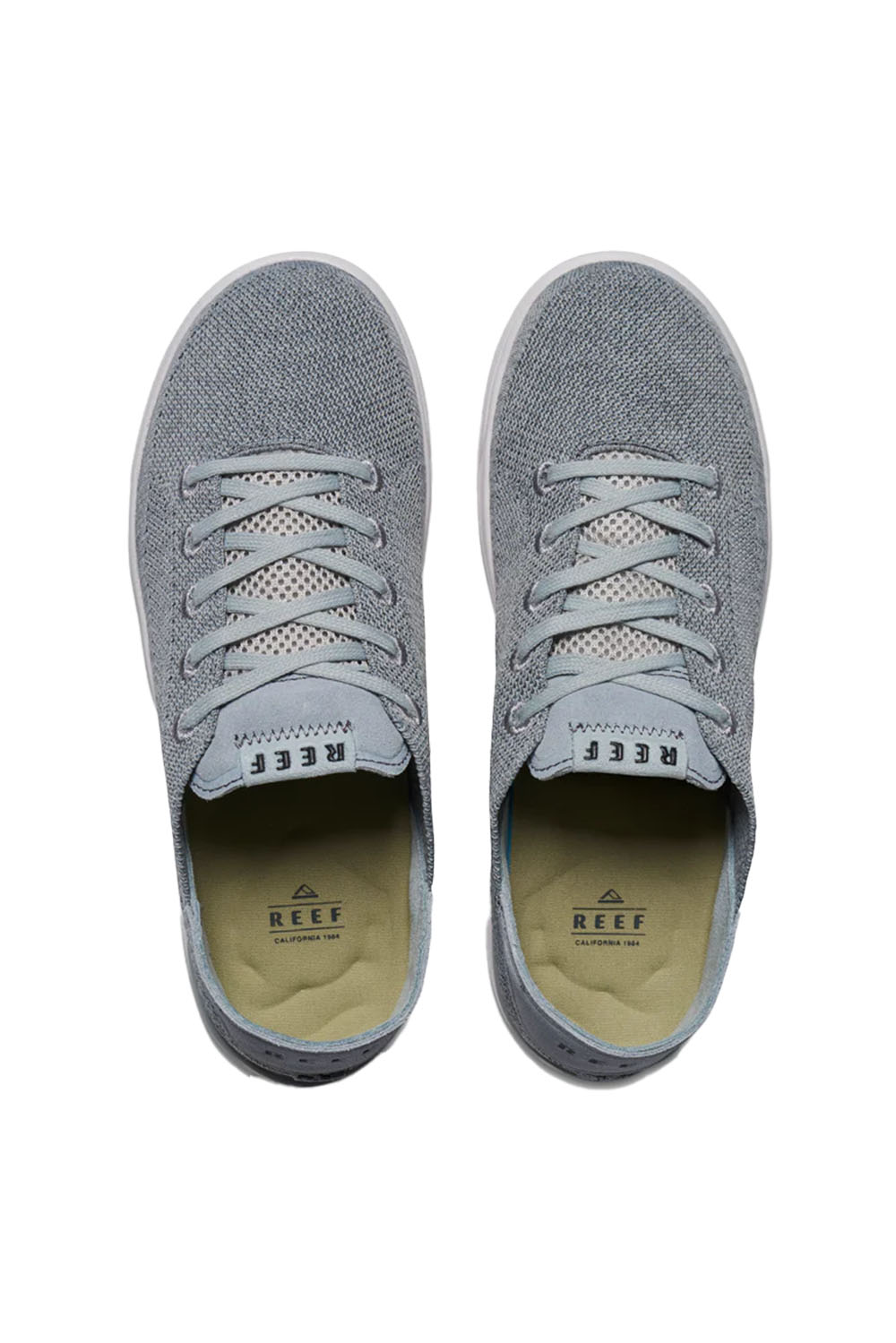 Reef - Swellsole Neptune - Grey - Top