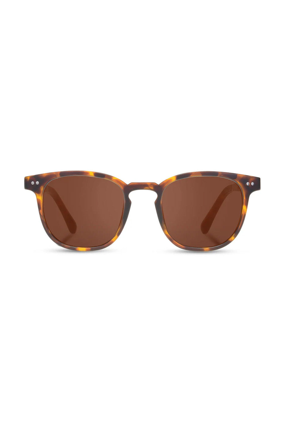 CAMP - Topo - Matte Tort/Walnut Basic Polar Brown - Front