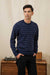 Bridge and Burn - Orson Sweater - Navy Dotted Path - Model Front