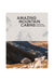 ACC Art Books - Amazing Mountain Cabins