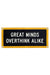 Oxford Pennant - Great Minds Overthink Alike Camp Flag - Front