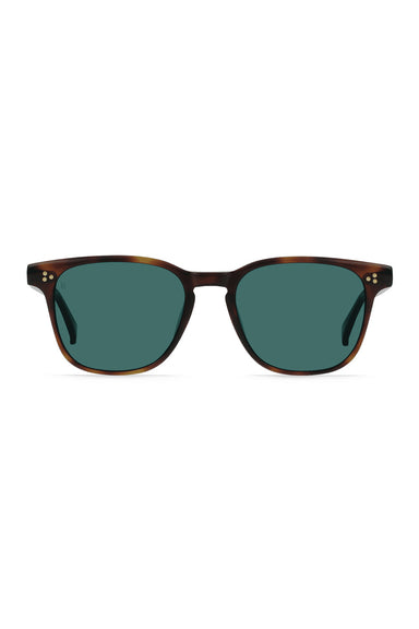 raen-alvez-kola-tortoise-pacifica-front