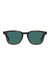 raen-alvez-kola-tortoise-pacifica-front