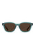 raen-carby-cirus-vibrant-brown-polar-front