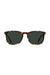 raen-wiley-56-brindle-tortoise-green-polar-front