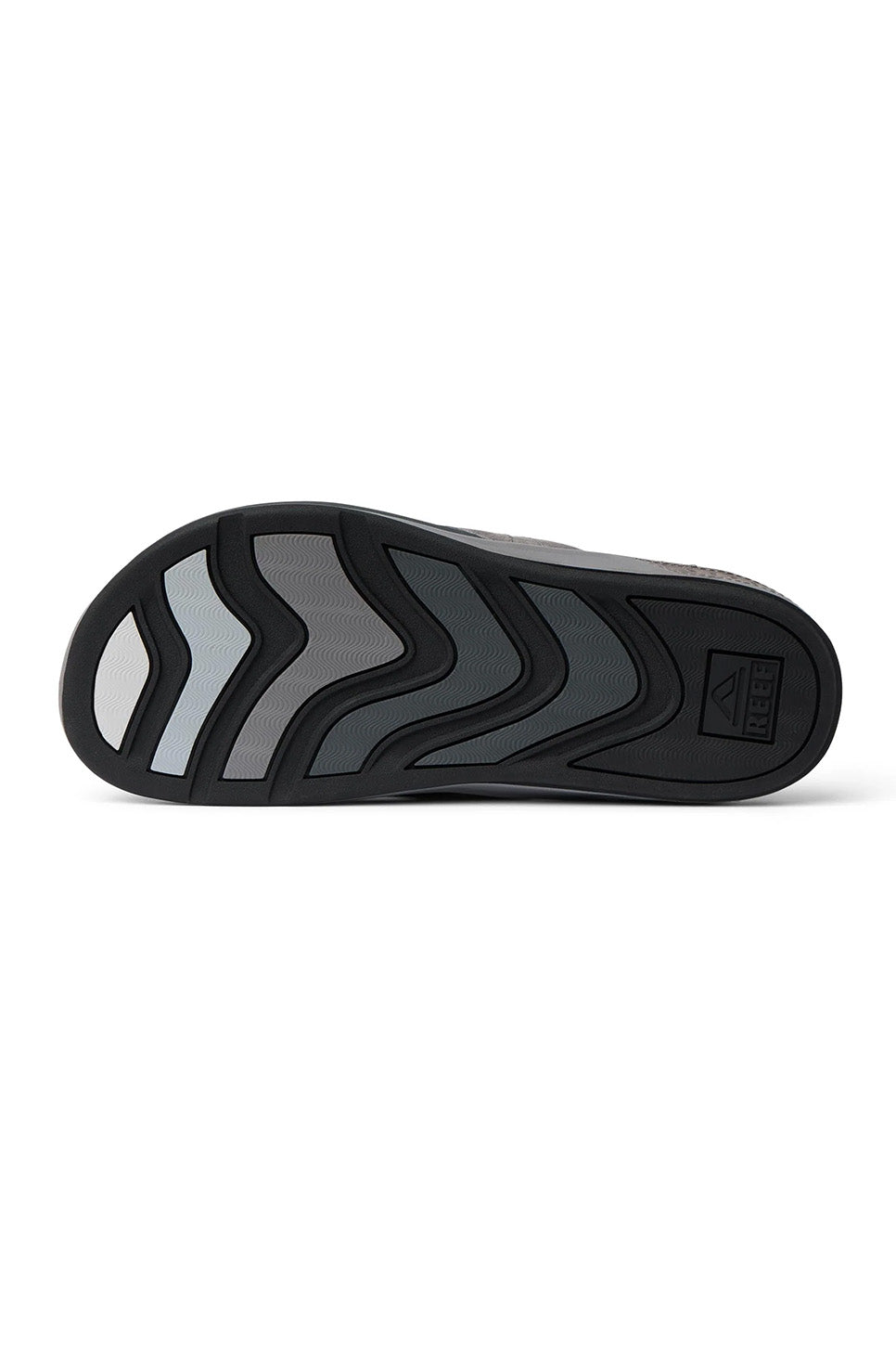 reef phantom lux grey bottom