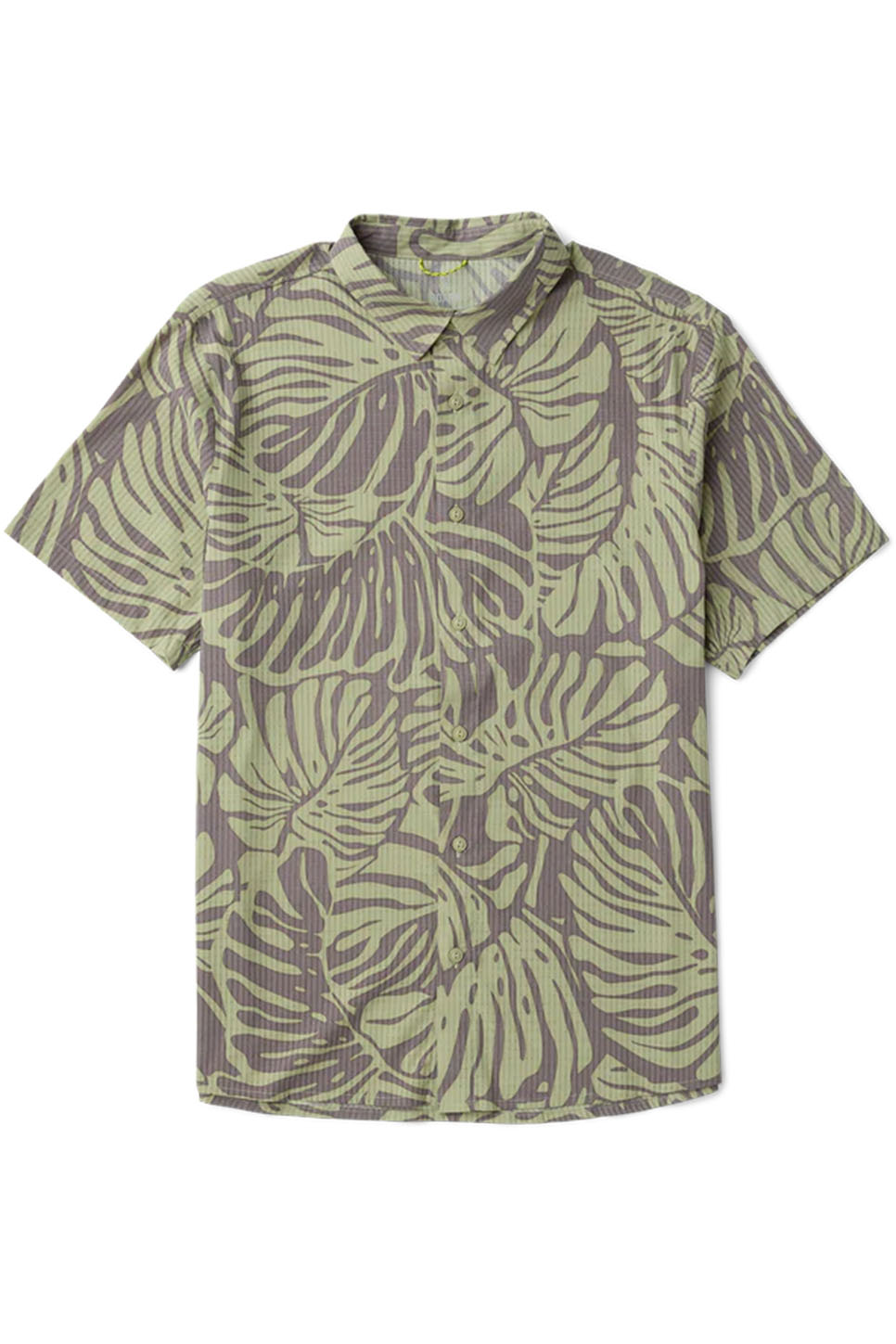 roark-bless-up-short-sleeve-shark-flatlay