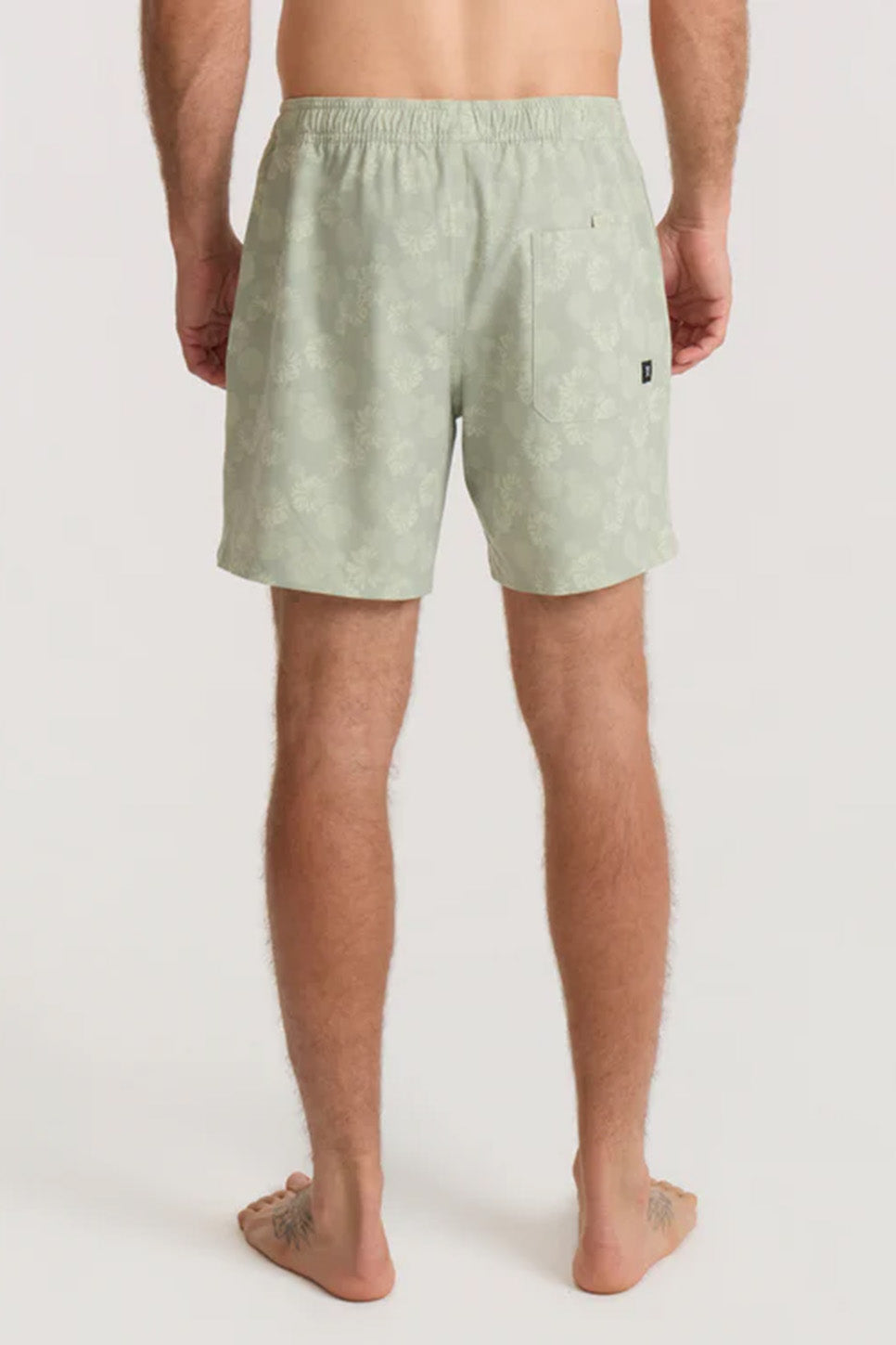 roark shorey sage back
