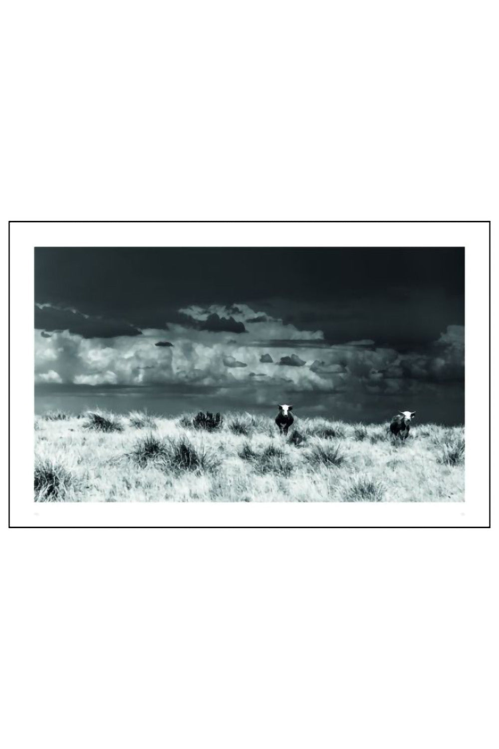 ACC Art Books - West: The American Cowboy - Page