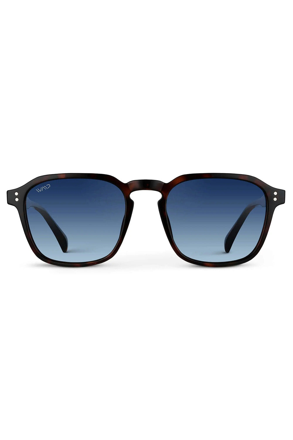 wmp-francis-brown-tortoise-gradient-blue-polar-front