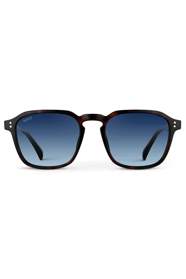 wmp-francis-brown-tortoise-gradient-blue-polar-front