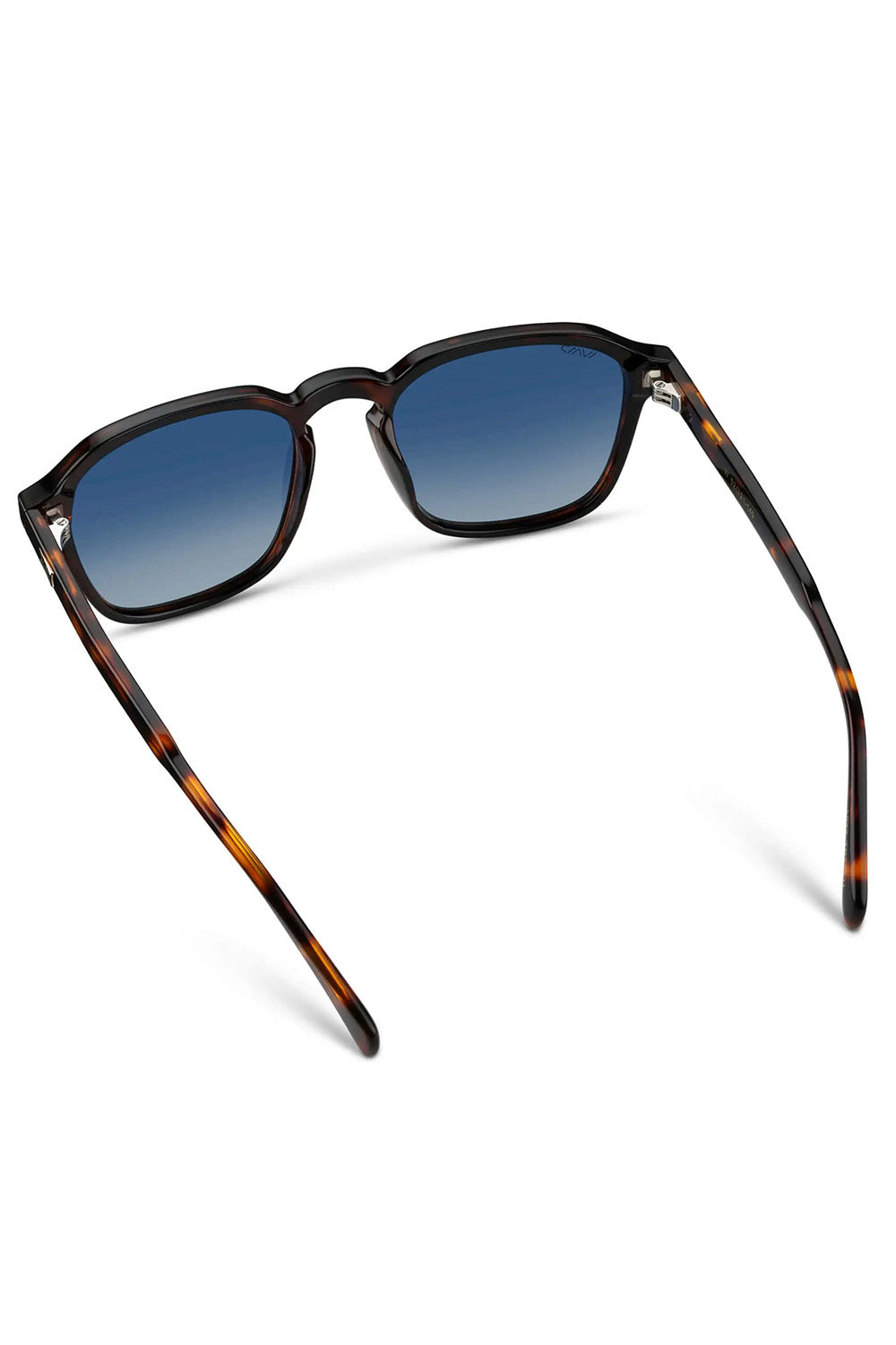 wmp-francis-brown-tortoise-gradient-blue-polar-inside
