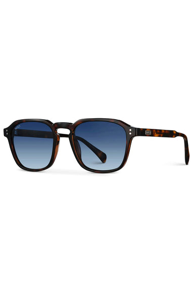 wmp-francis-brown-tortoise-gradient-blue-polar-profile