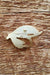 Noteworthy Paper & Press - Fly Fishing Enamel Pin - Back