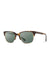 shwood-newport-52-matte-brindle-elm-burl-g15-polar-profile